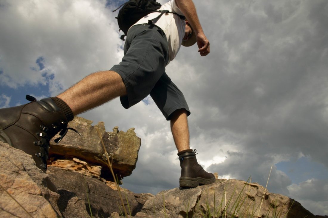 Park Trek Walking Holidays Victoria Victorias High Country