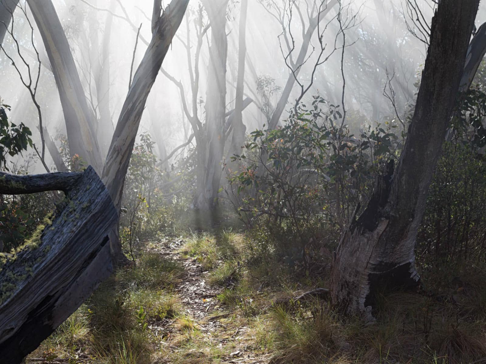 Hiking in the Razor - Viking Wilderness - Victoria's High Country