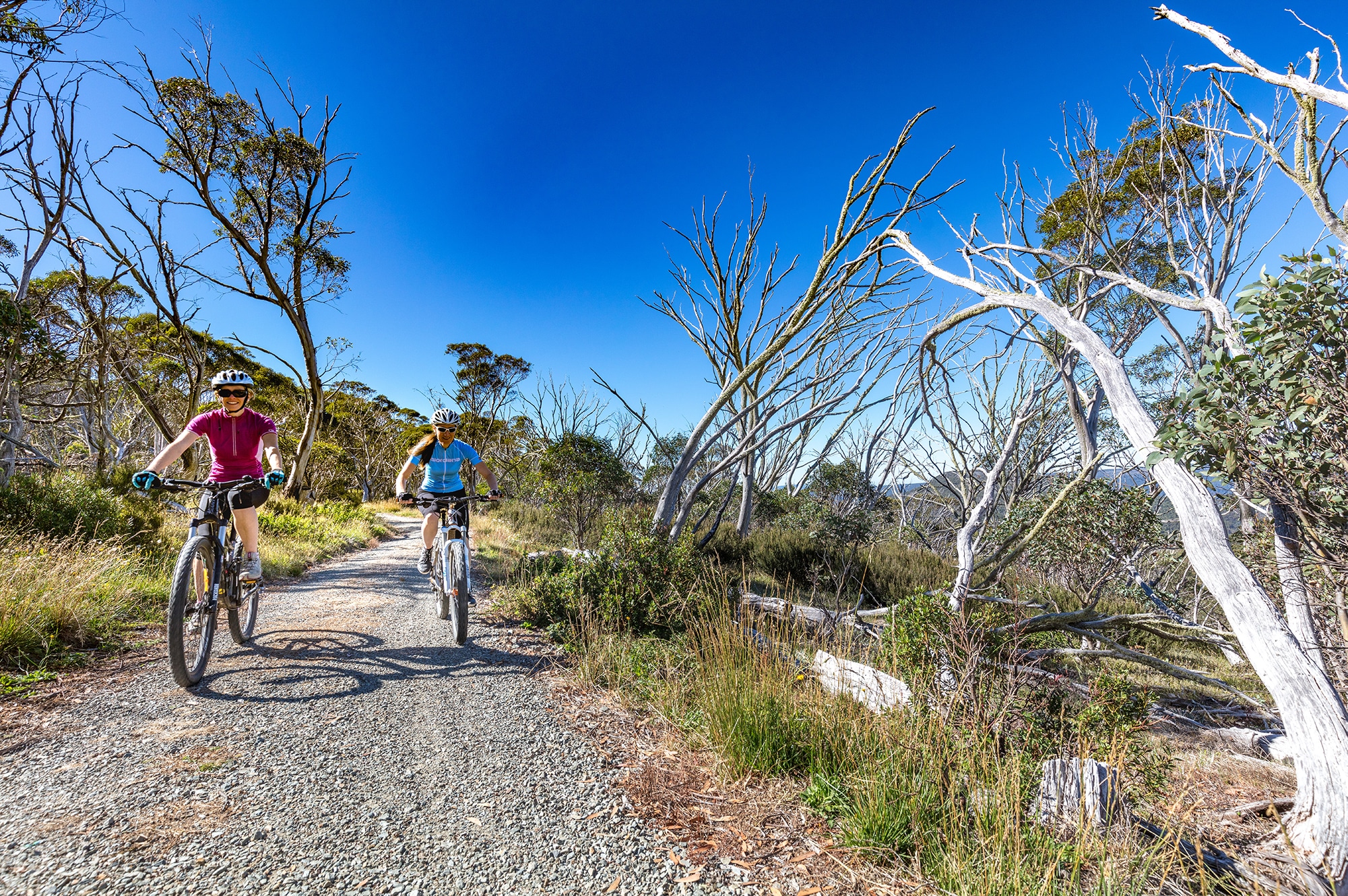 Brabraulung Hotham to Dinner Plain mountain bike trail