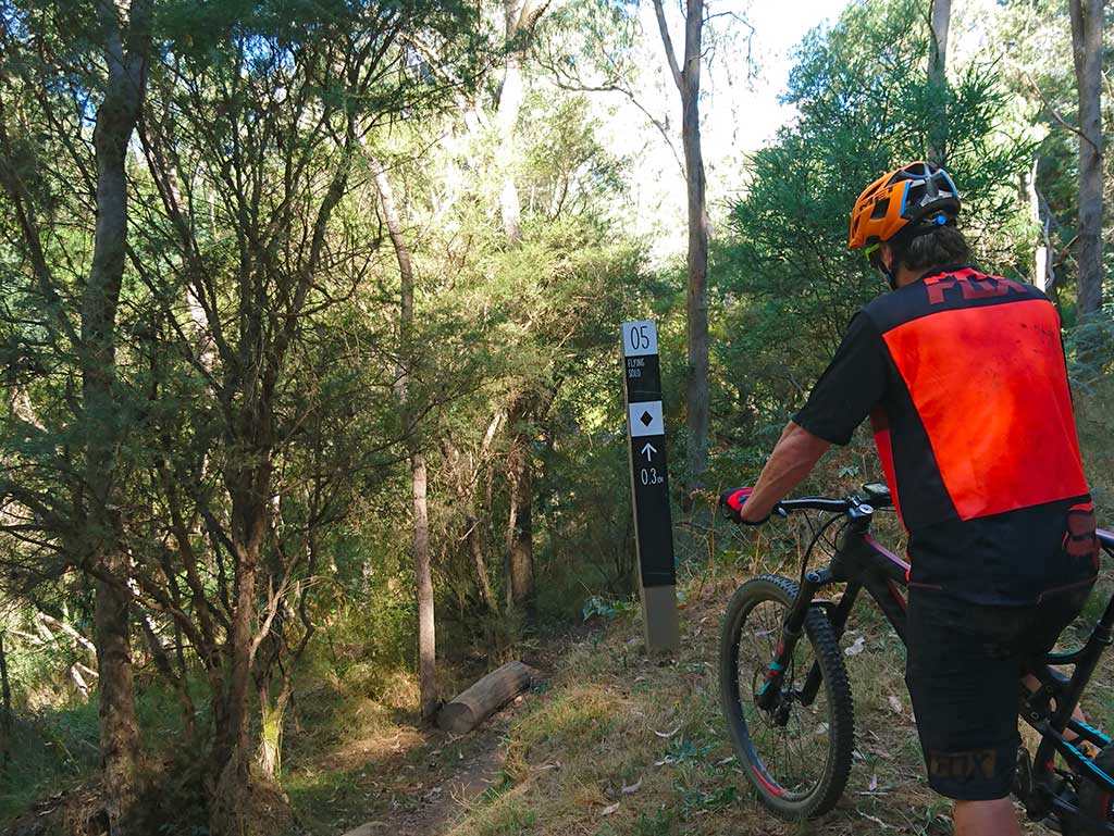 Bright Mystic MTB  Flying Solo  Ride High Country