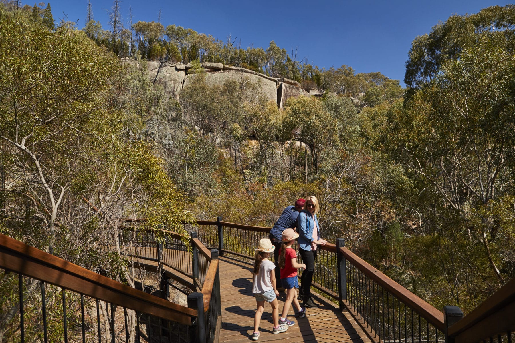 bunjilaka-aboriginal-cultural-centre-attraction-melbourne-victoria