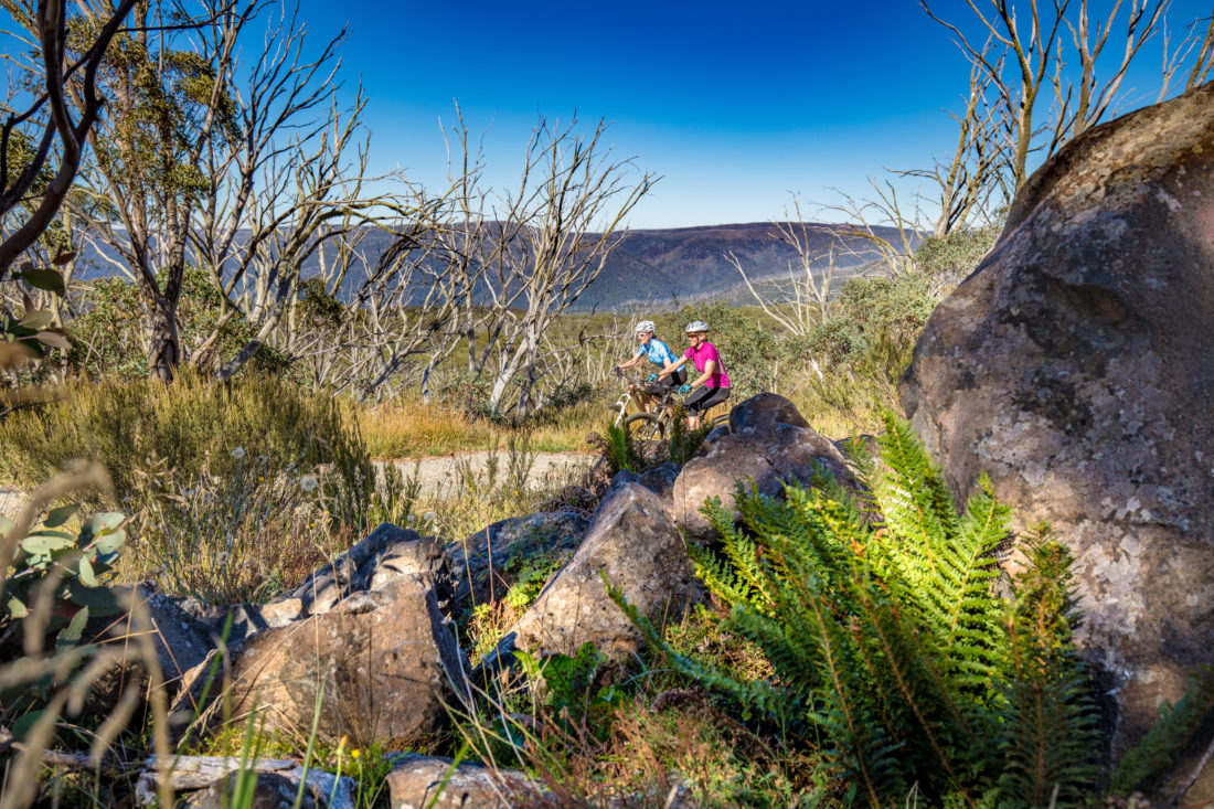 Brabraulung Hotham to Dinner Plain mountain bike trail