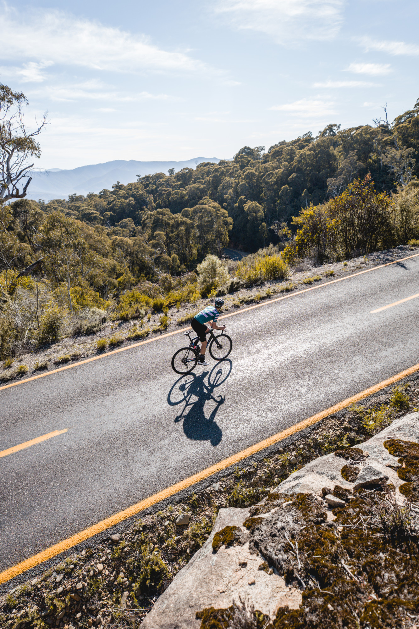 Road cyclist conquering the Mount Buffalo 7 Peaks Challenge road climb