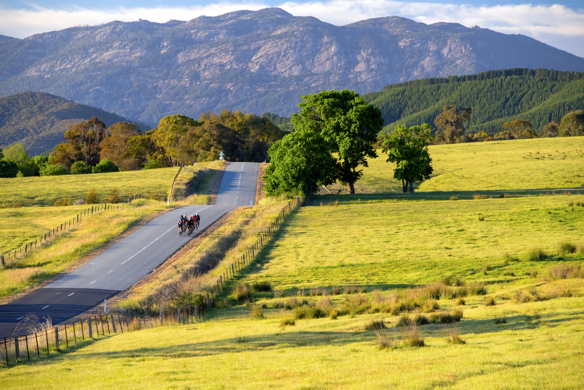 Group of cyclists riding Myrtleford's quiet country roads with Mt Buffalo in the background