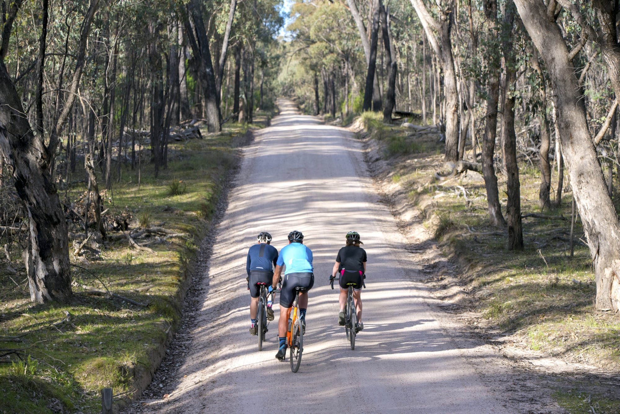 Family riding Beechworth's smooth gravel roads on the Beechworth - Chiltern National Park Loop route.