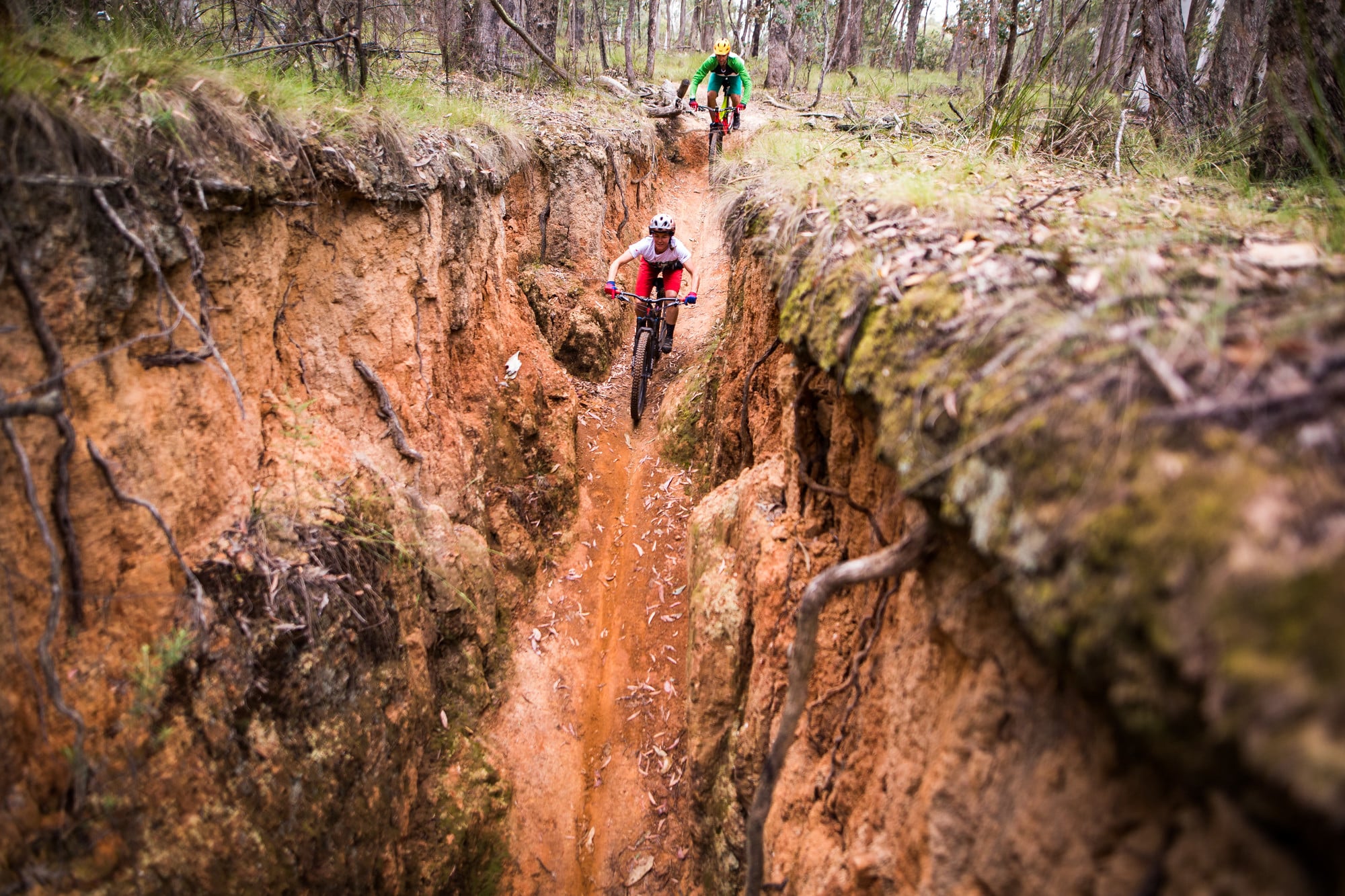 Two cyclists riding through the Carcass Canyon trail in the Yackandandah Mountain Bike Park