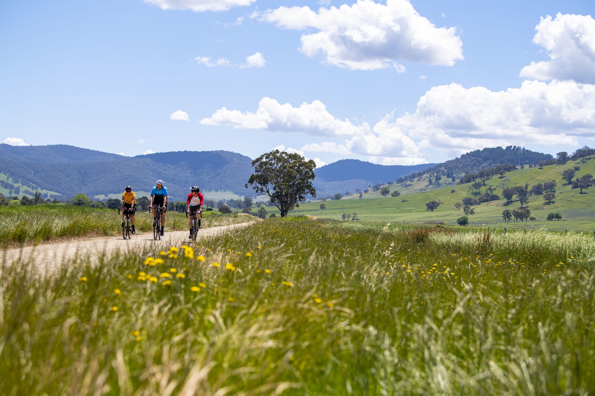 Three cyclists riding the High Country Rail Trail and gravel