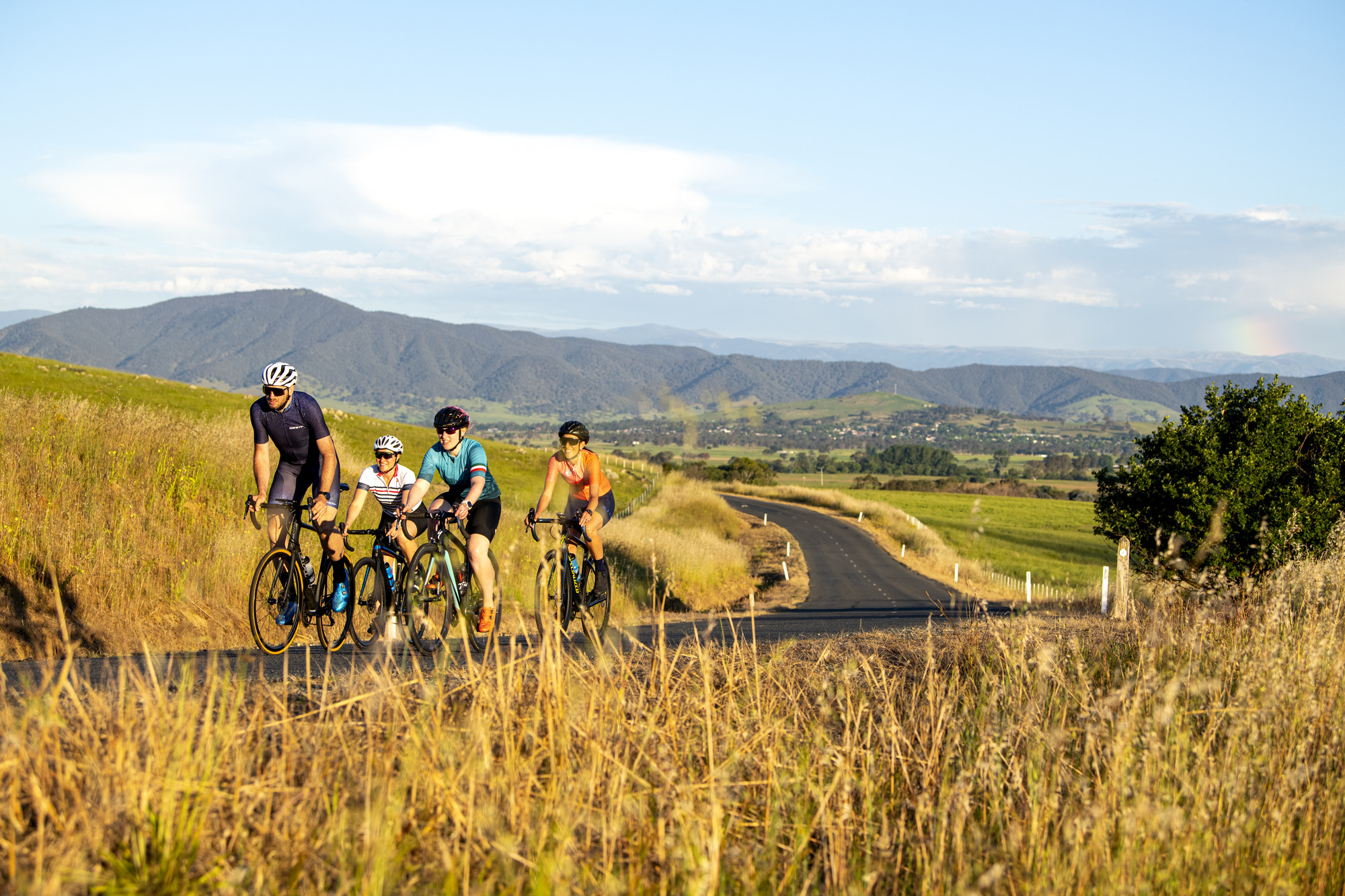 Group of cyclists riding through rural views around Corryong