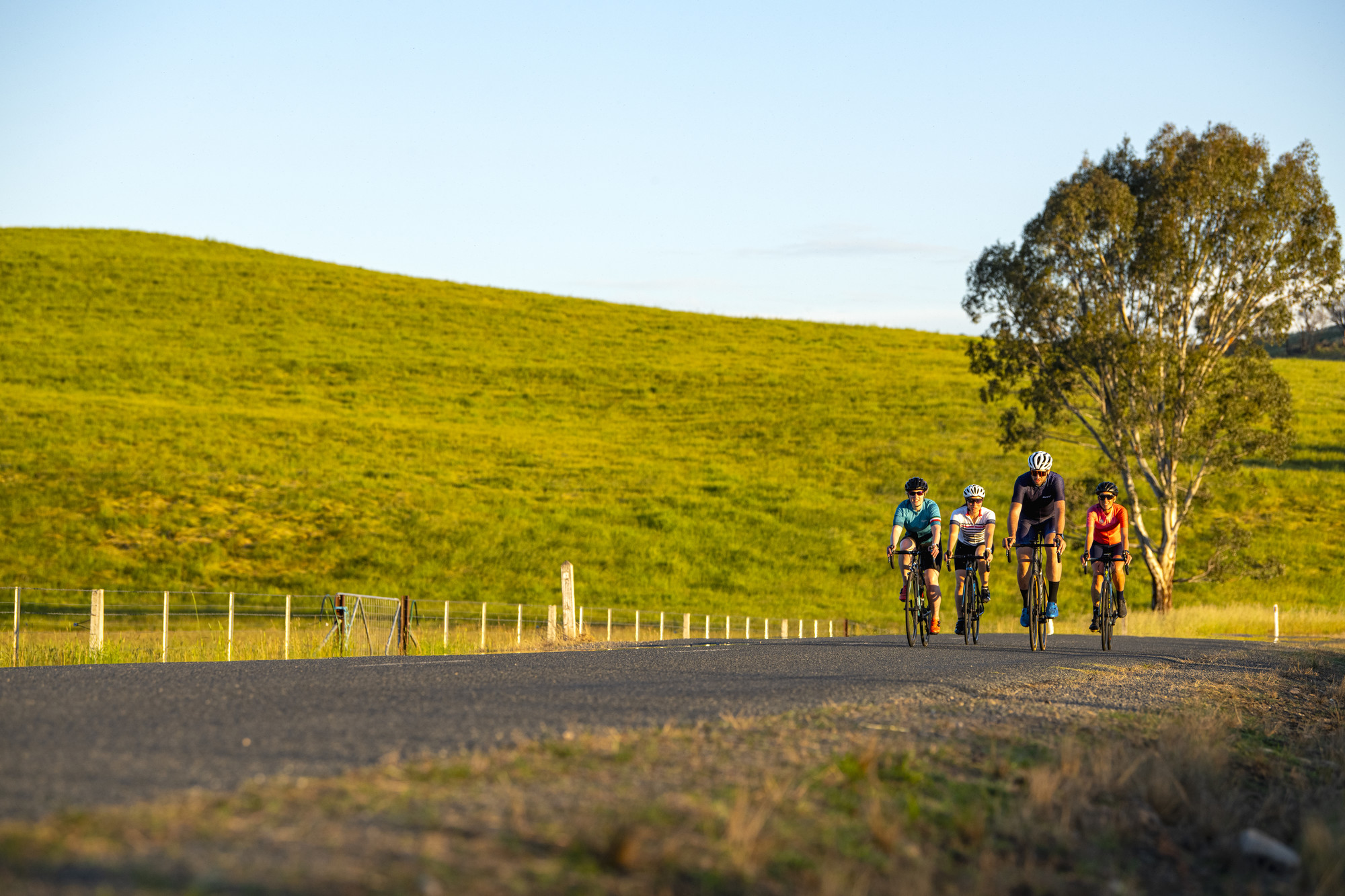 Group of cyclists riding through rolling greens hills in Corryong