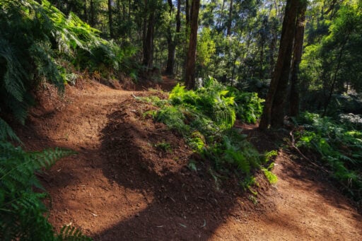 Indigo Epic MTB Trail Construction | Ride High Country