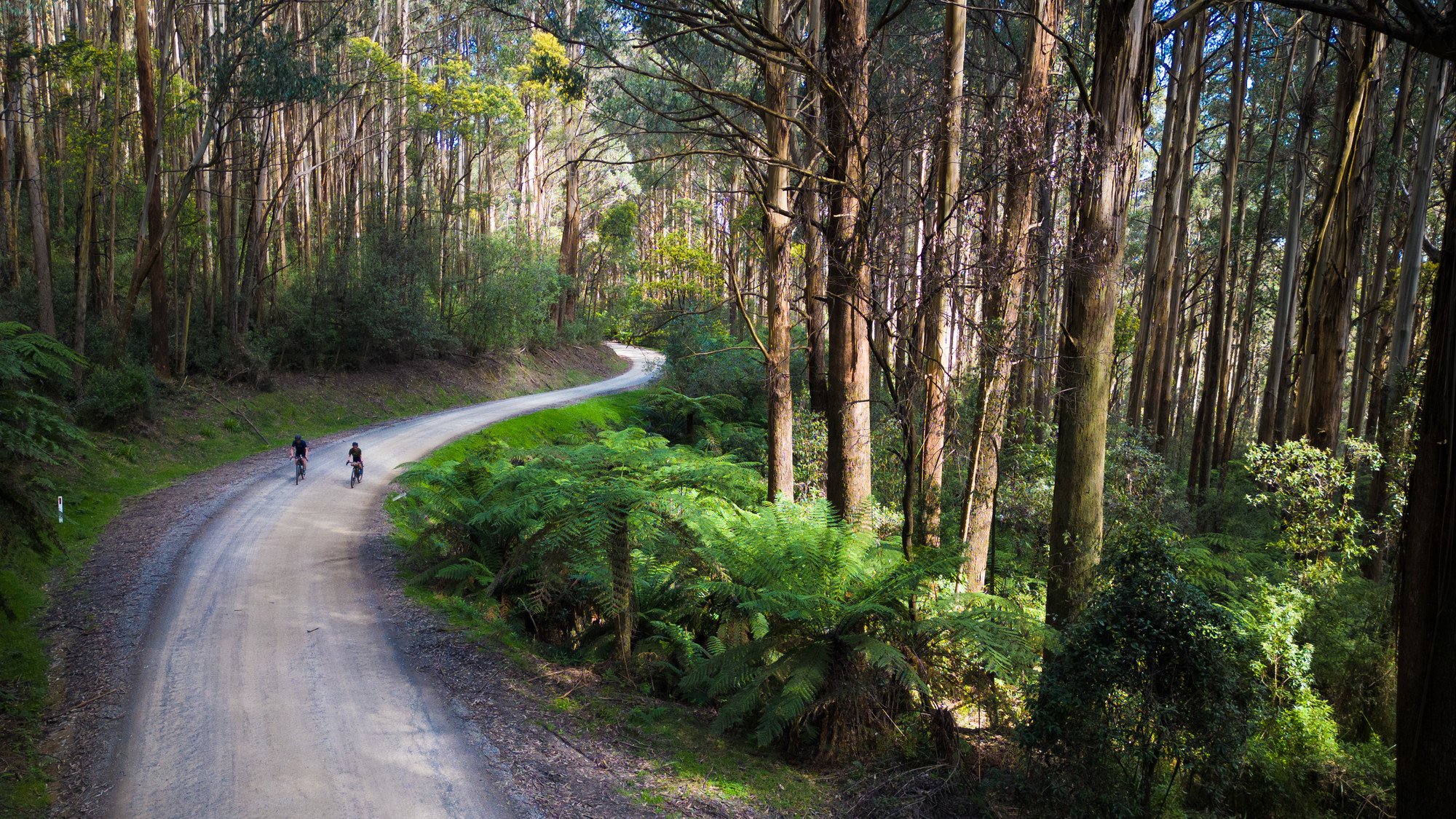 Kinglake Gravel Routes - Captains Ride - Kinglake