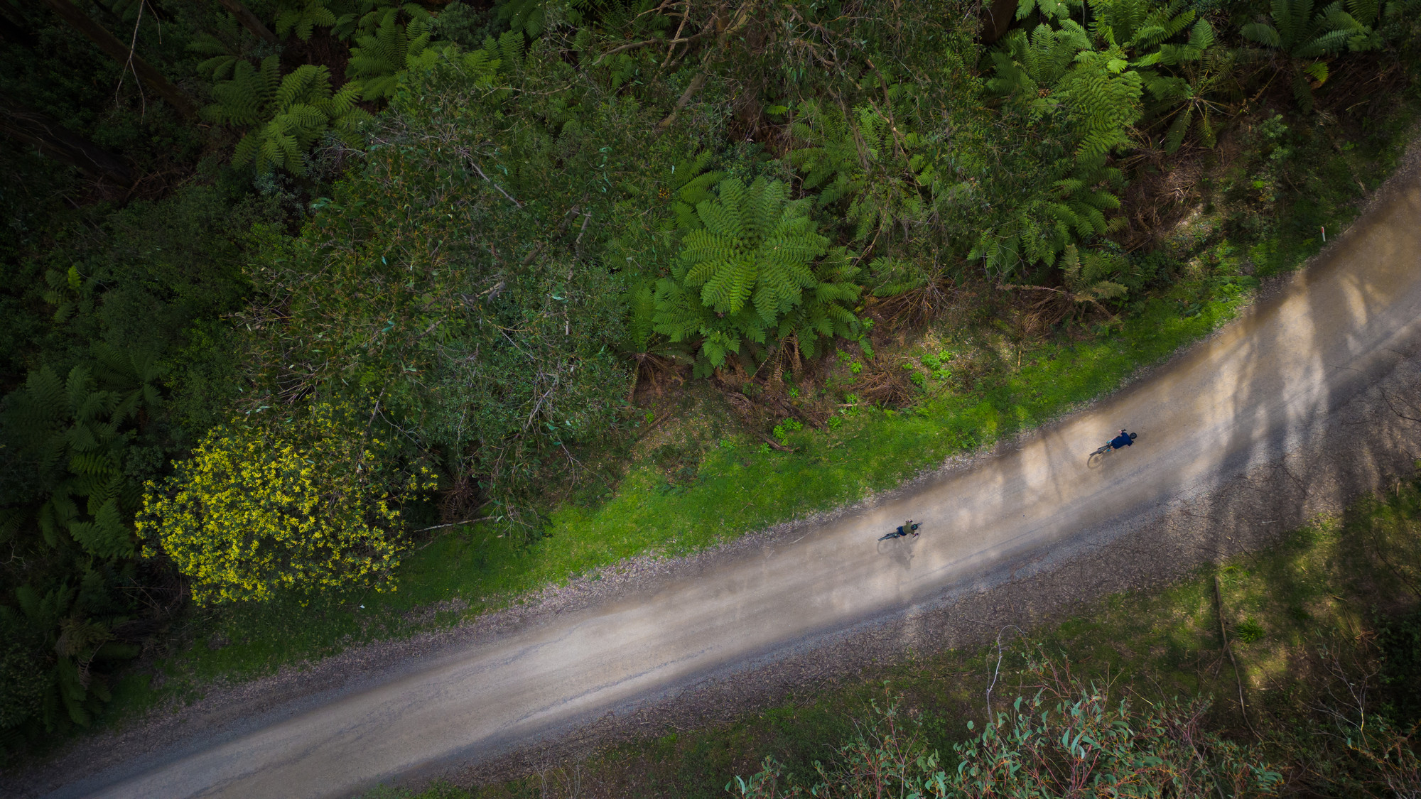 Kinglake Gravel Routes - Captains Ride - Kinglake