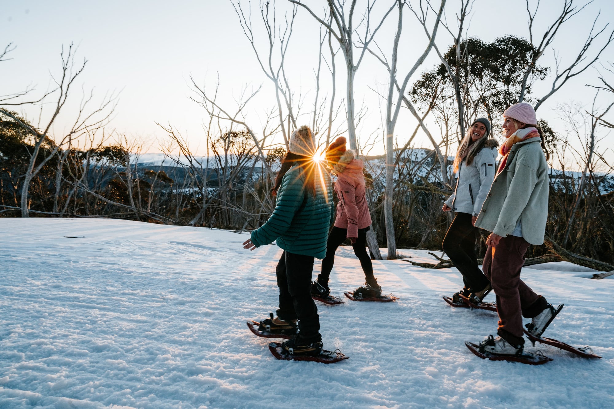 Four young women snowshoeing at sunset among the snow gums.