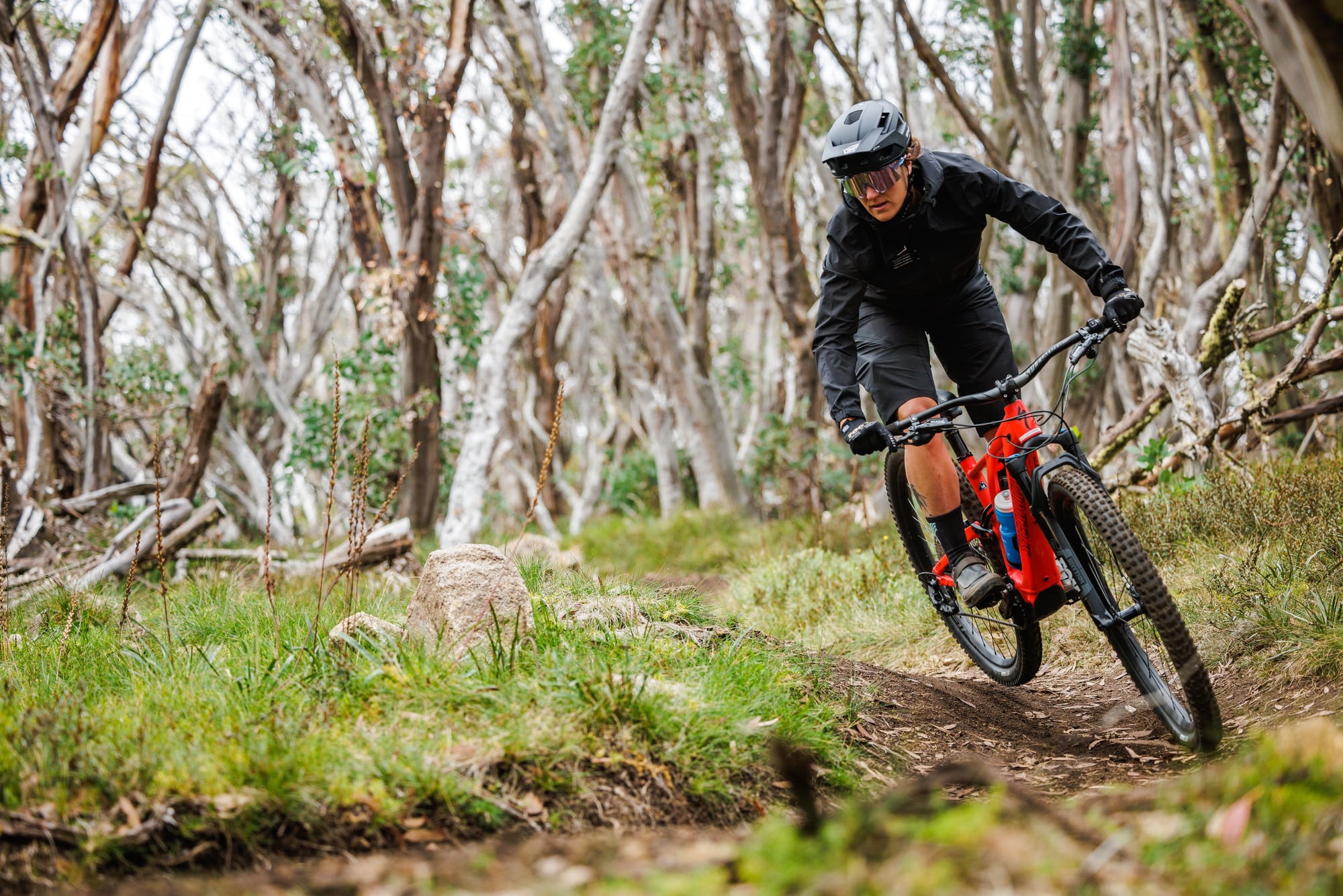 Mountain biker cycling the IMBA rated Australian Alpine Epic Trail