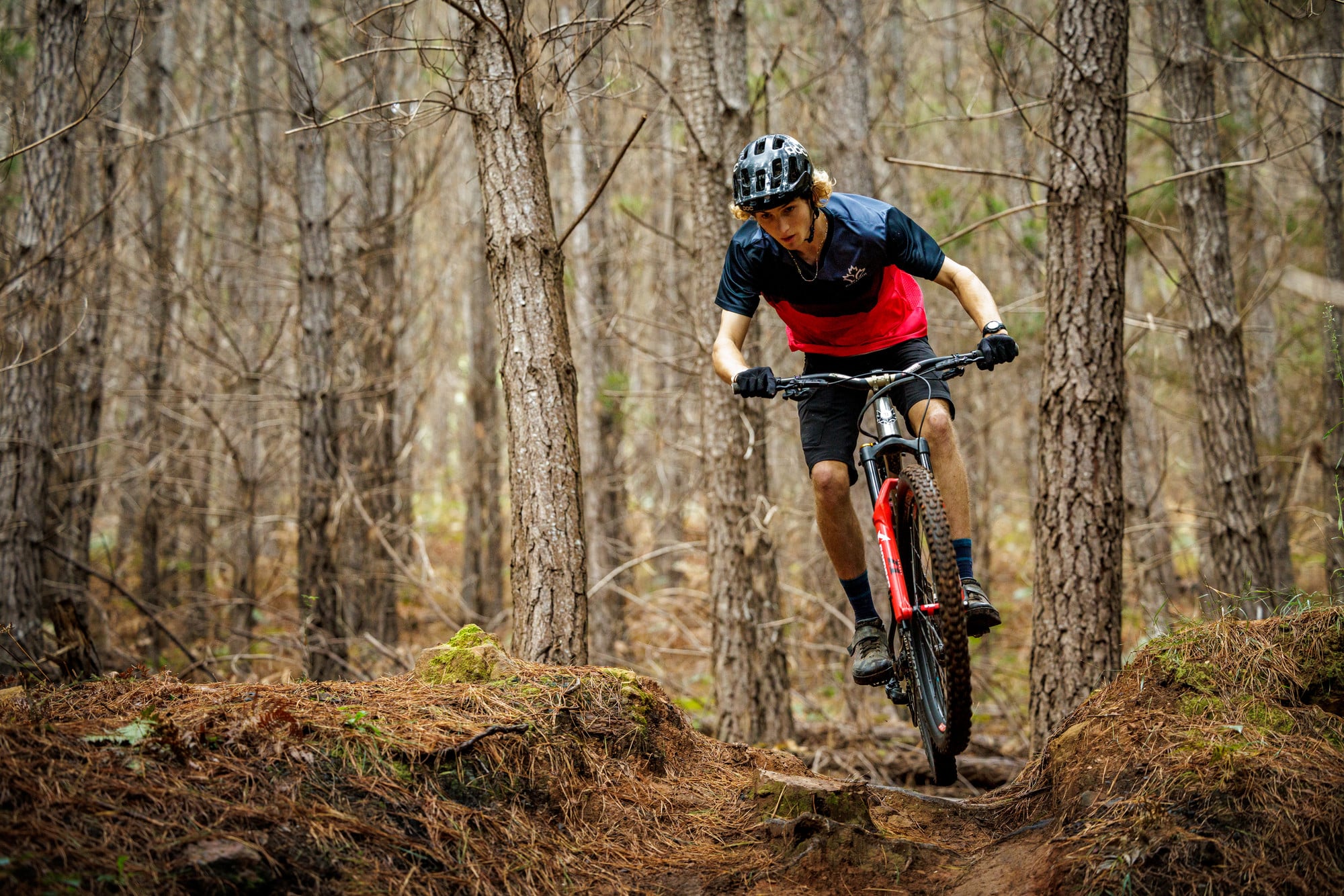 Mountain biker riding through the pines at Mystic Bike Park