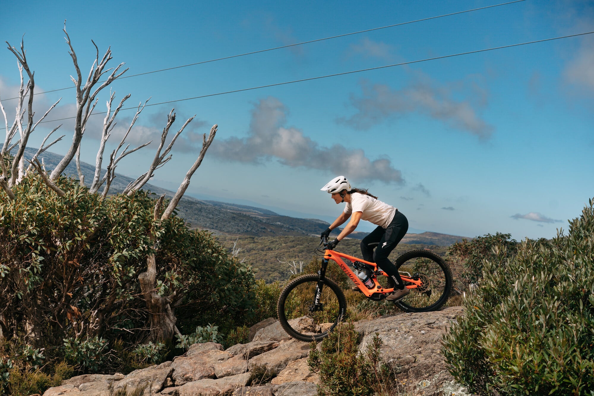 Mountain biker riding Falls Creek's alpine trails