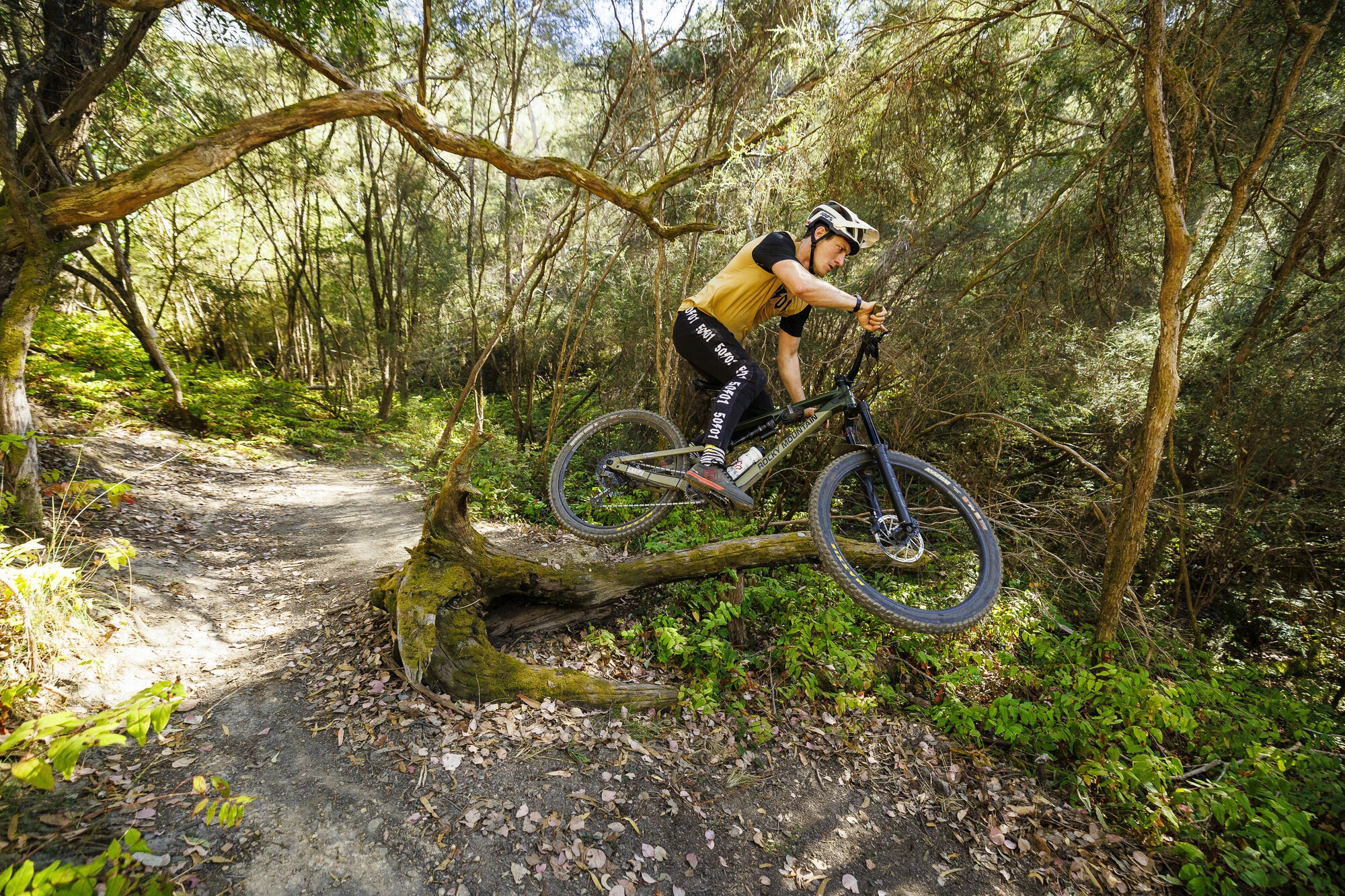 Cyclist jumping a natural tree feature at Eildon MTB Park