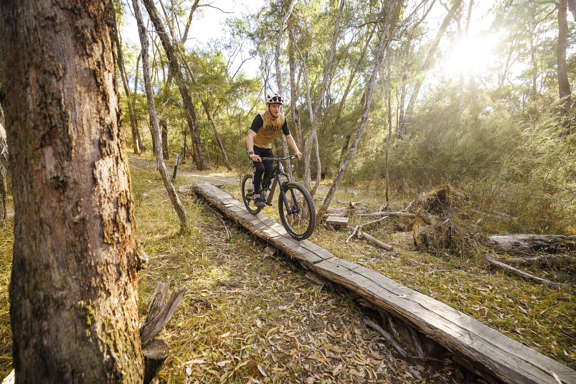 Cyclist riding across a wood feature at Eildon Mountain Bike Park