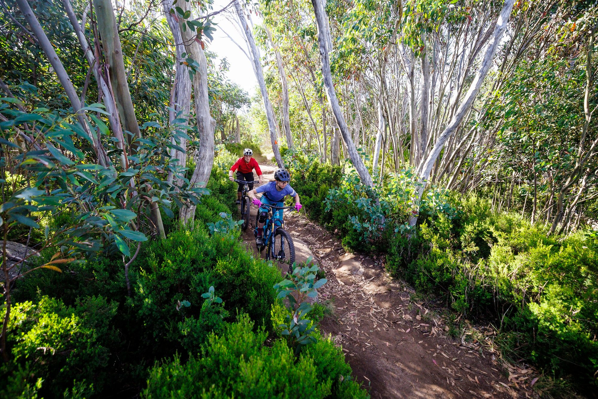 Two cyclists taking on technical features on the Cascades Trail