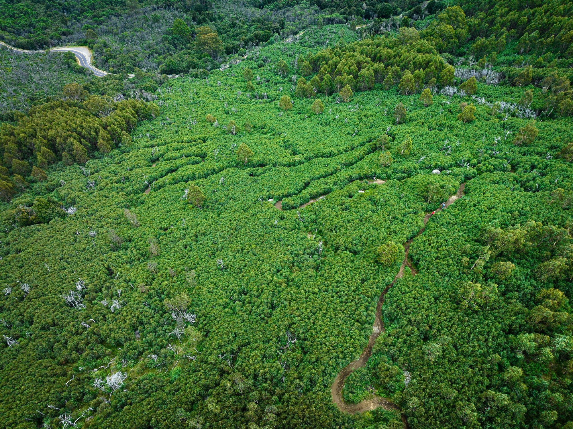 Birdseye view of two cyclists riding the winding Cascades Trail