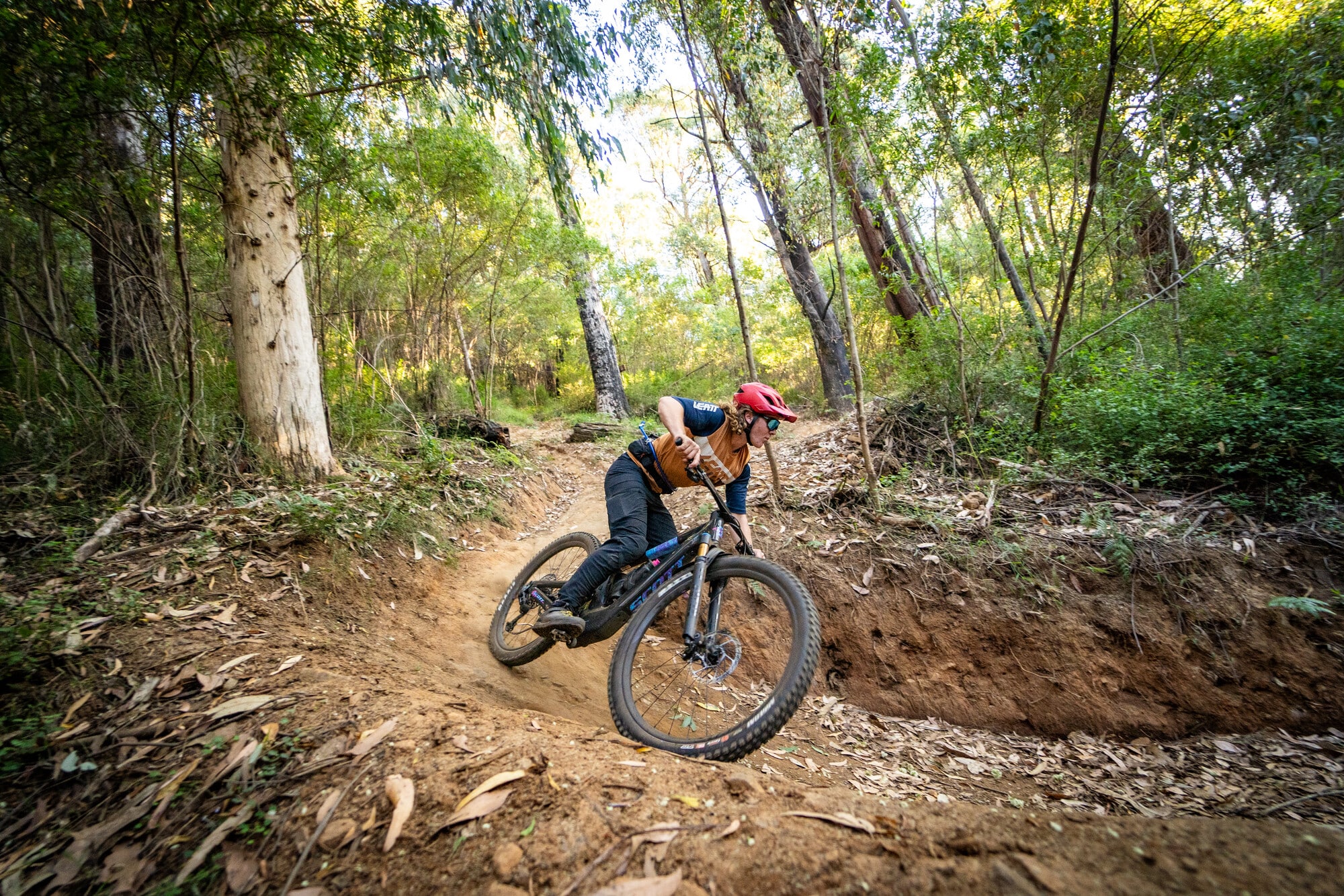 Cyclist riding berms on the Cascades Trail