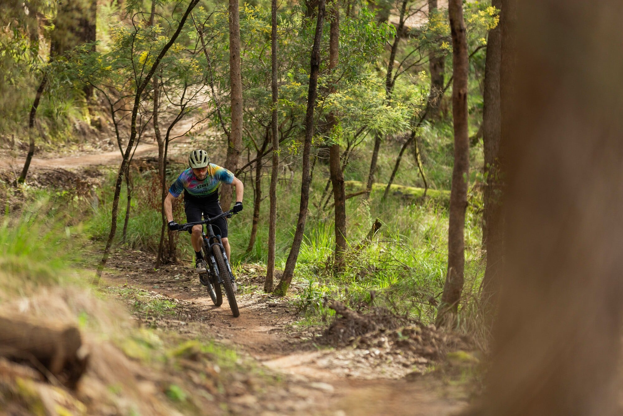 Cyclist riding cross-country singletrack through bushland in Yackandandah