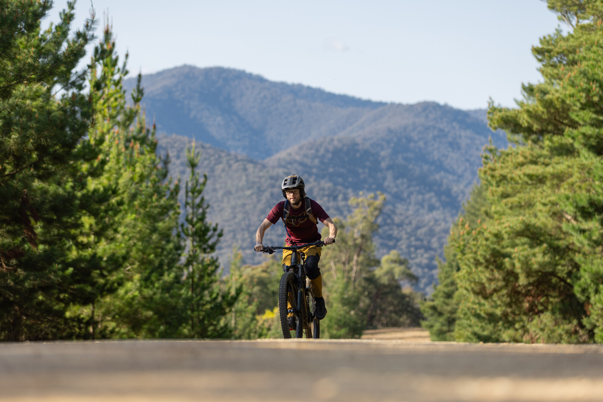 Cyclist riding past pines at Mystic Bike Park