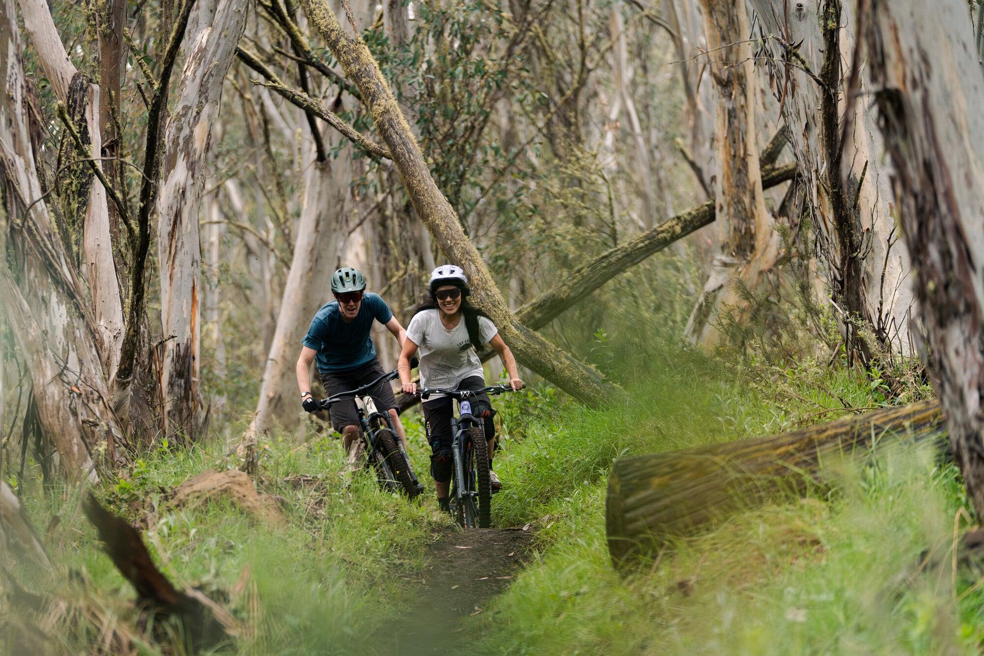 Two cyclists riding through the snow gums of Dinner Plain Mountain Bike Park