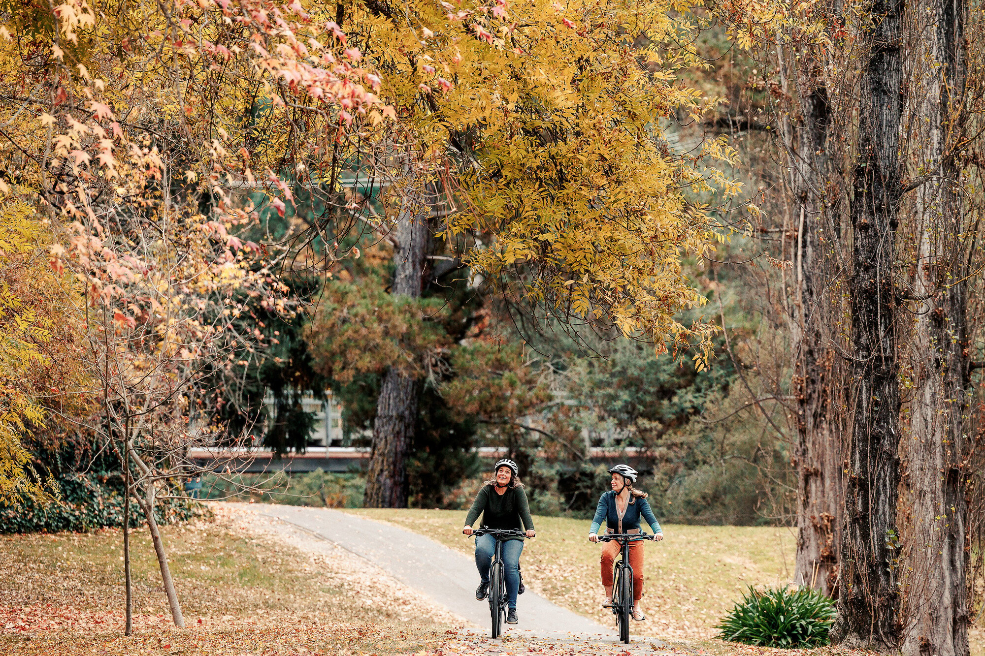 Two cyclists riding past autumn leaves on the Murray to Mountains Rail Trail in Bright