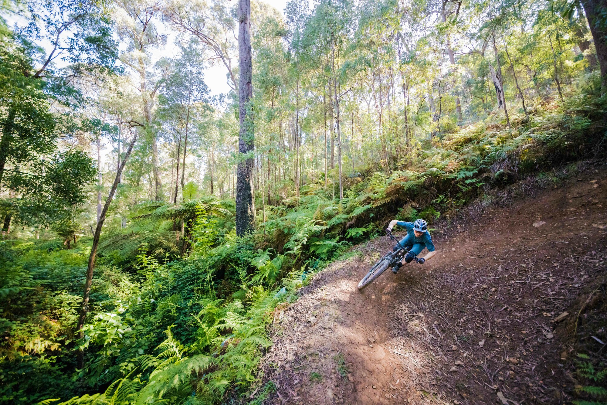 Cyclist riding a berm on the Indigo Epic Trail Yackandandah Loop