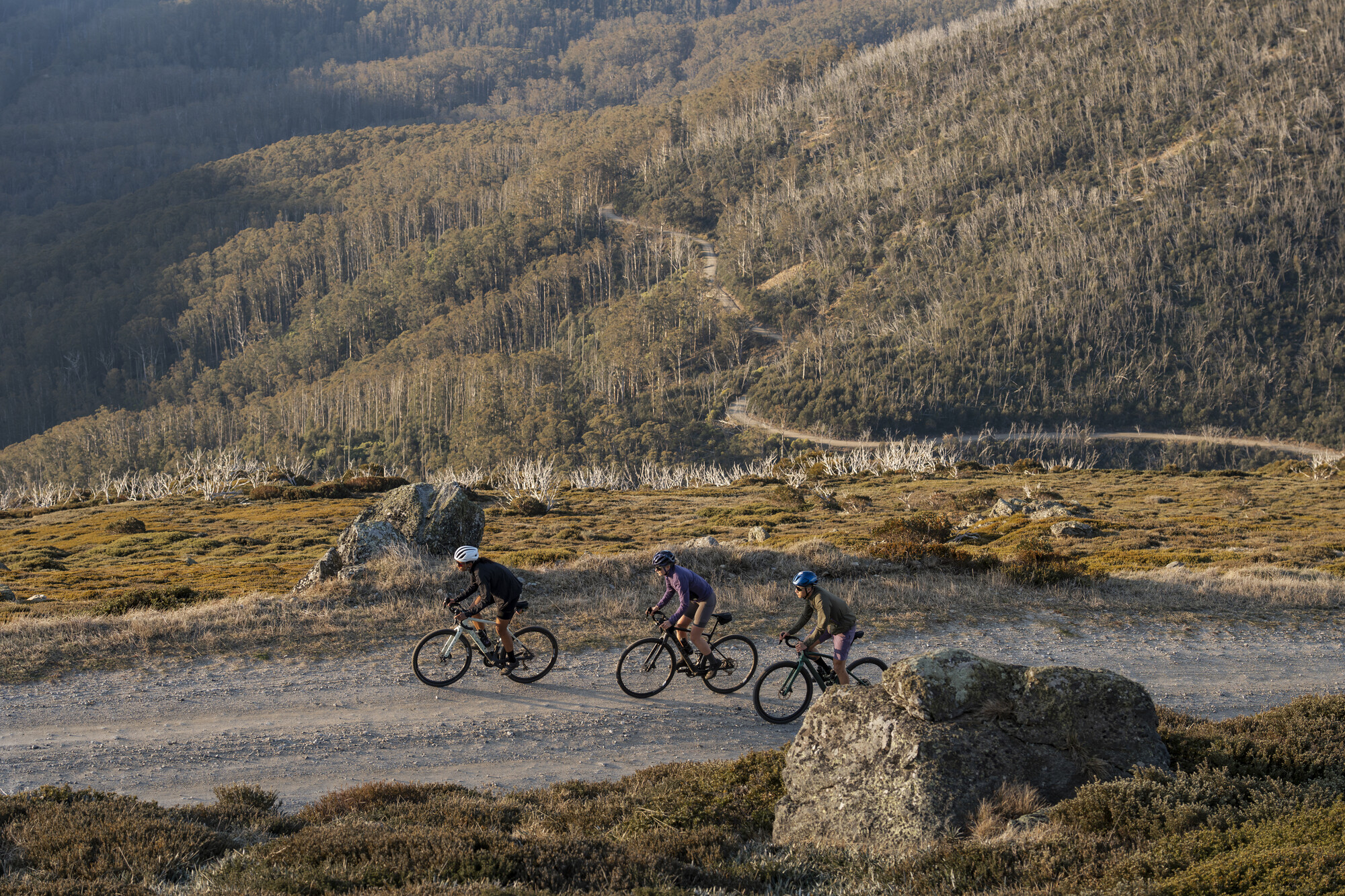 Fall Creek Gravel - Forest, Mountains and Lake