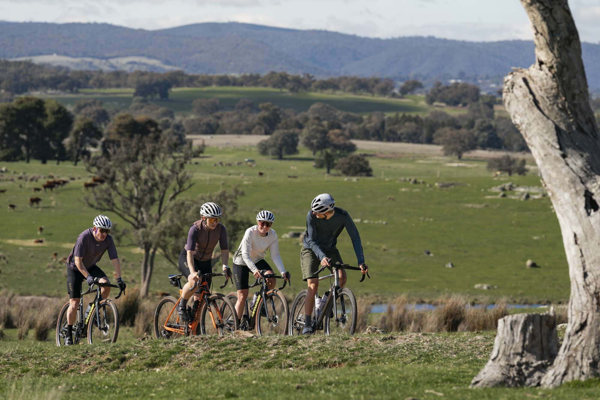 Beechworth Gravel Routes - Beechworth - Eldorado Loop