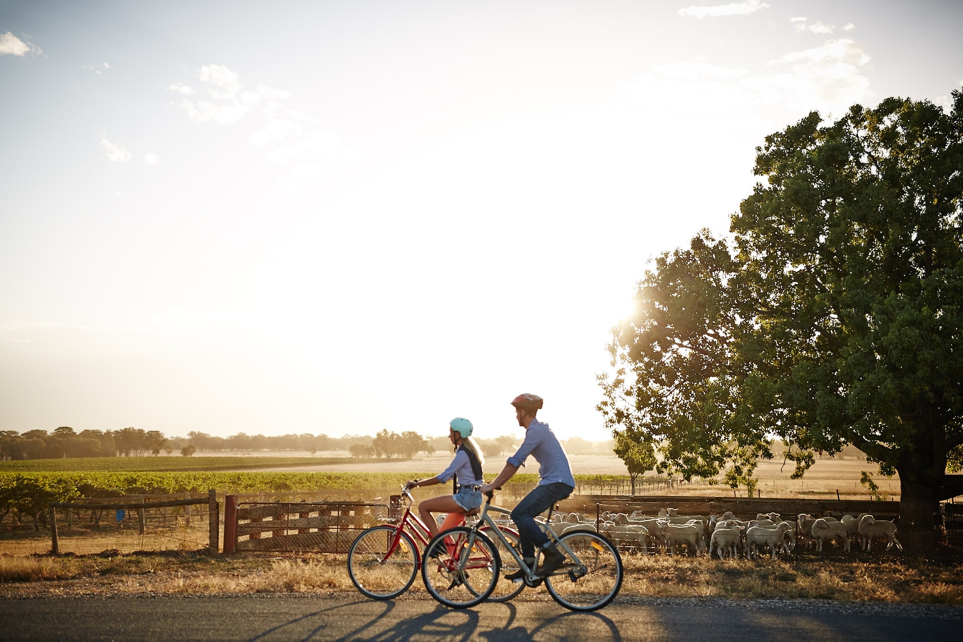 Two cyclists riding along the Murray to Mountains Rail Trail past scenic rural views