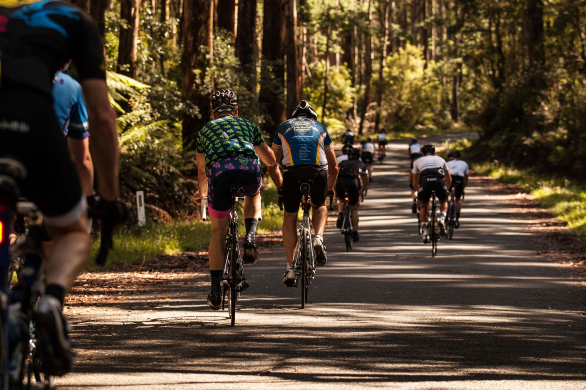 Group of road cyclists pedalling up the 7 Peaks Challenge Mt Baw Baw road climb