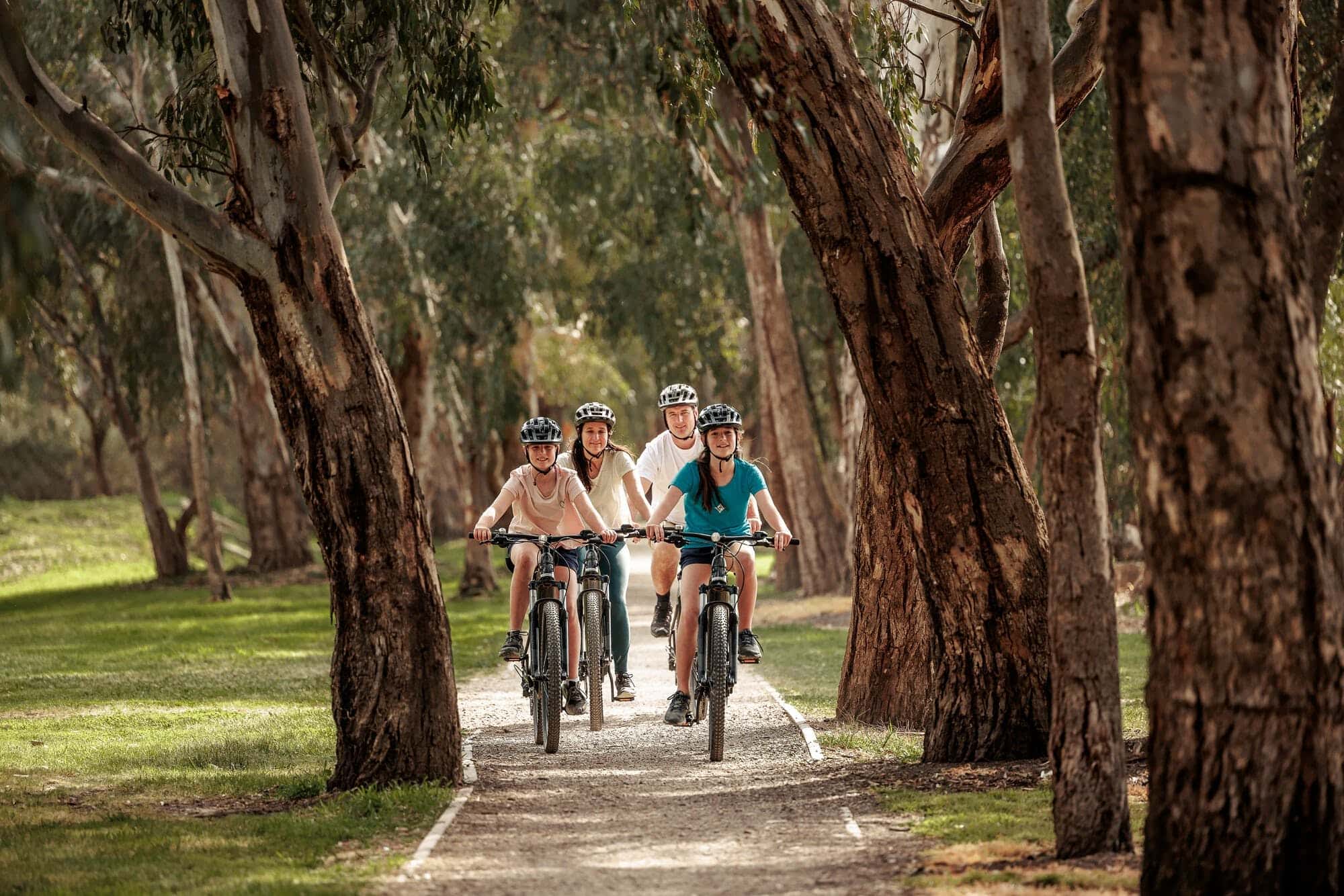 Great Victorian Rail Trail Victoria S High Country   Atdw AU0106977 65812d2adf3daeda75ae1a88 