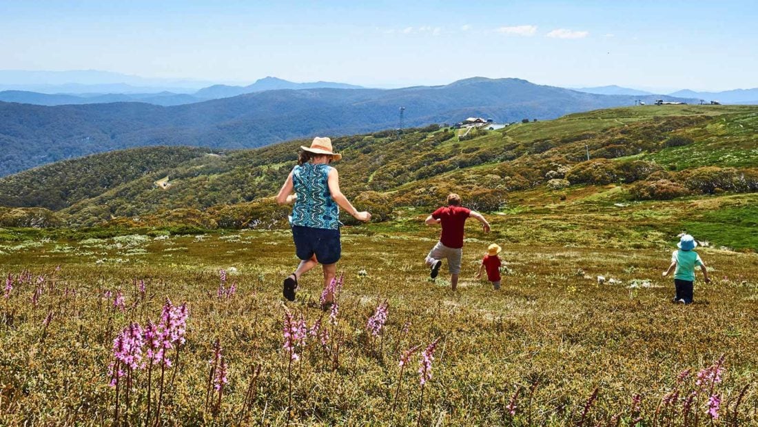 Summit Nature Walk