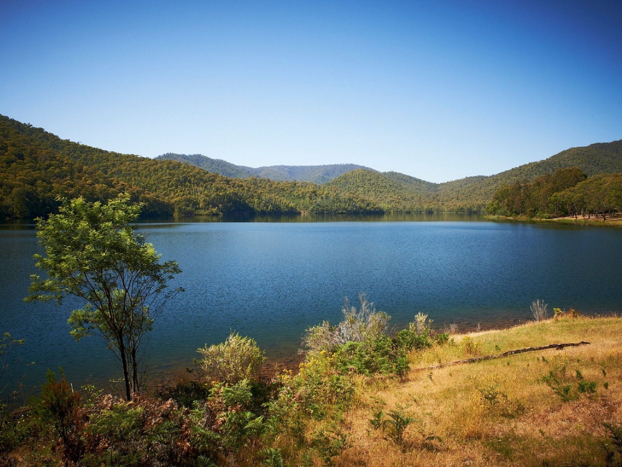 Lake William Hovell Recreation area - Victoria's High Country