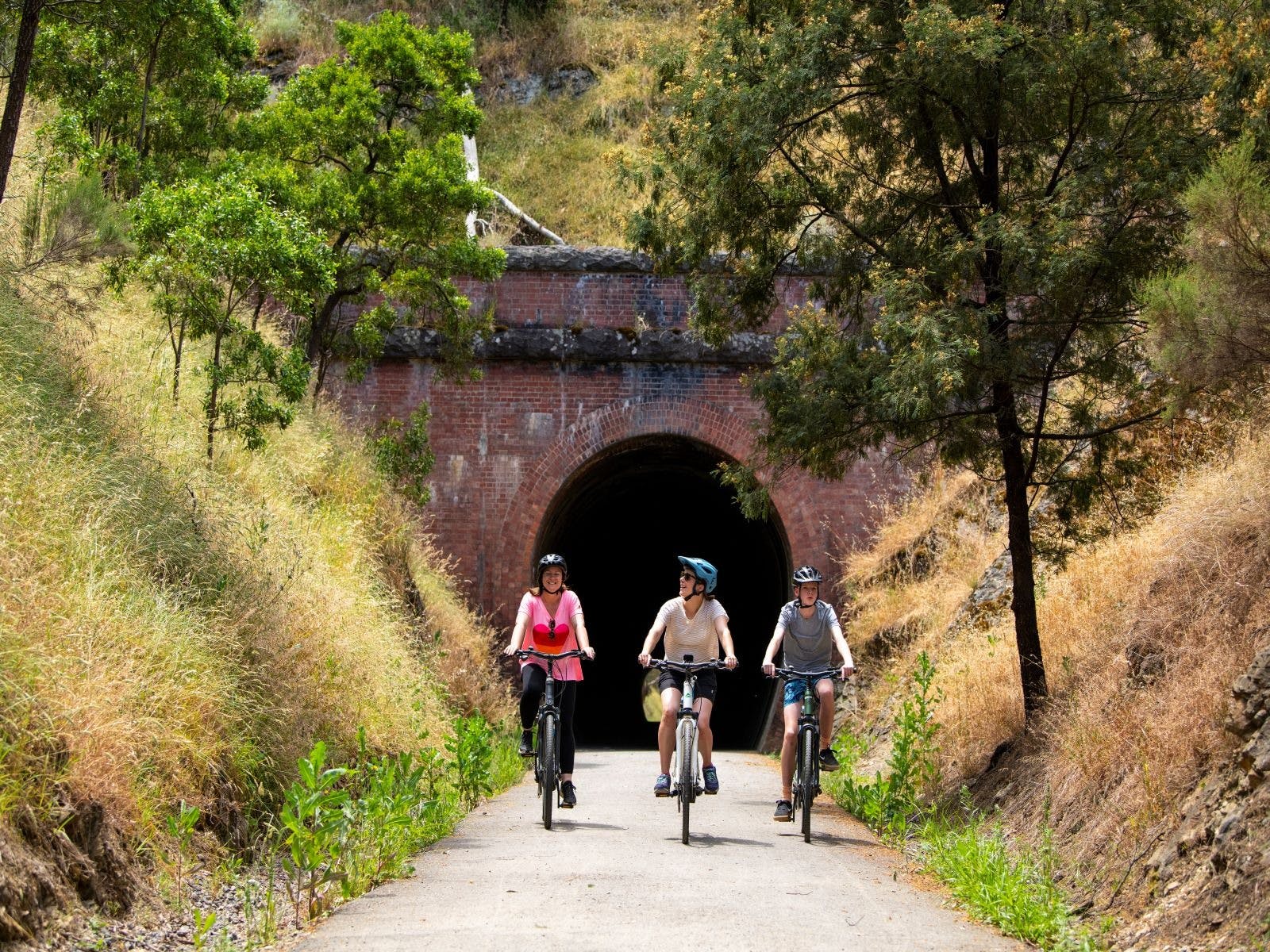 Best Of The Great Victorian Rail Trail Victoria S High Country   Atdw AU0470688 6219cd551b7505610a74b9e7 6219d8f29fefc62a52bd4604 