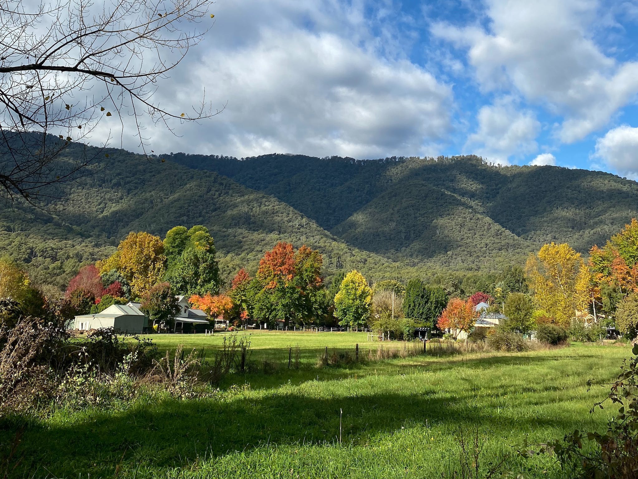 harrietville-caravan-park-victoria-s-high-country